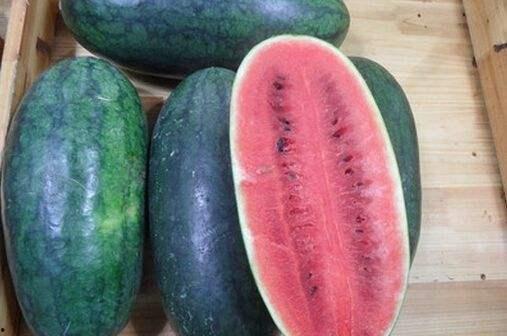 山东英才吃瓜群,校园生活趣味横生