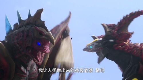 泽塔吃瓜,揭秘娱乐圈背后的秘密与真相